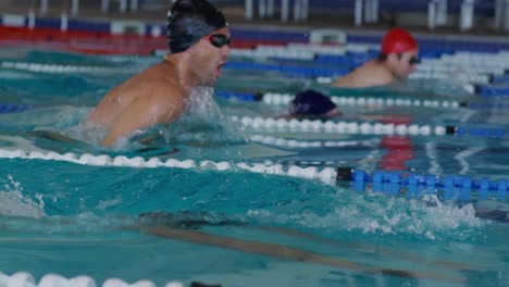 Swimmers-swimming-on-the-pool