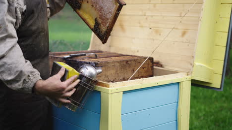 apiculture scene, beekeeper in front of colored wooden bee hive, pumping bee smoker then hanging it on the edge, holding beehive comb on other hand