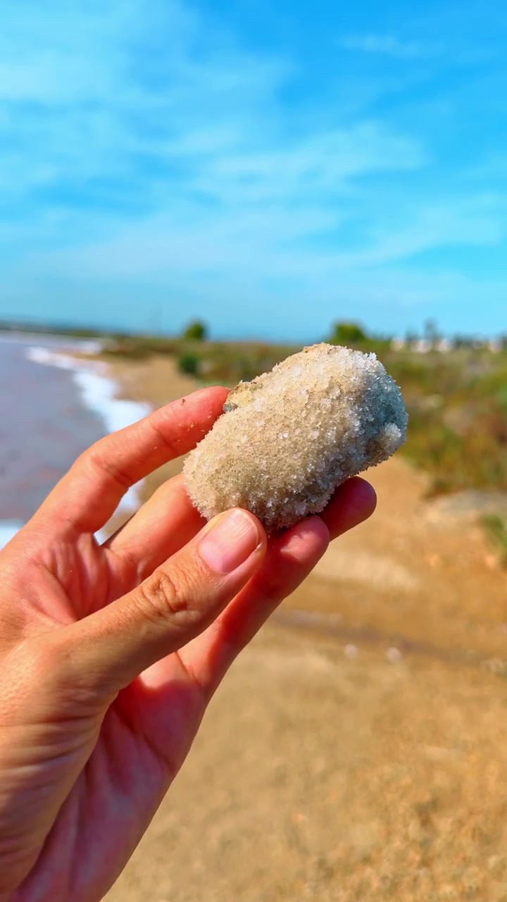Hånd holder saltkrystalkorpe ved bredden af en lyserød sø. Nærbillede af en menneskehånd, der holder et råt mineralsaltkrystal ved Torreviejas lyserøde sø med sandet jord og vand.