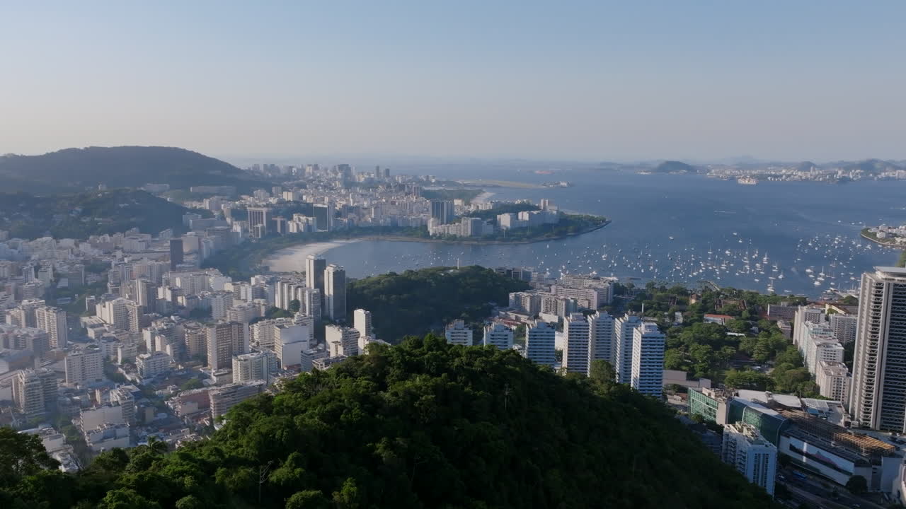 amplias imágenes aéreas girando sobre los árboles de la cima de la montaña con la bahía de botafogo en el fondo