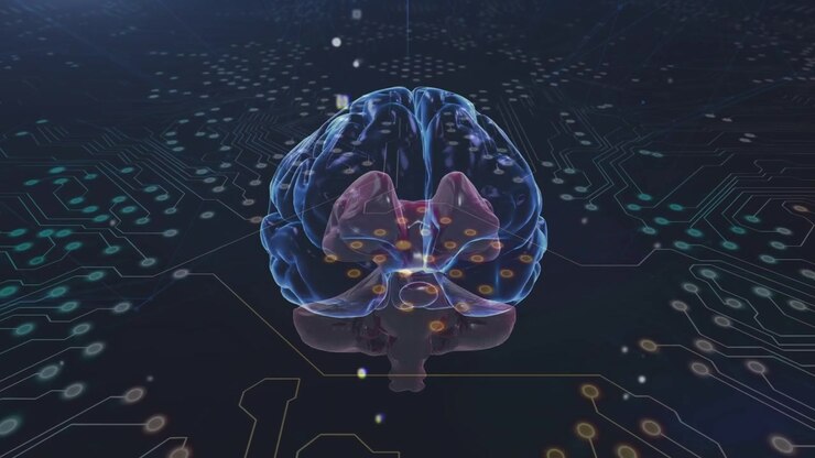 Animation of brain over integrated circuit on black background