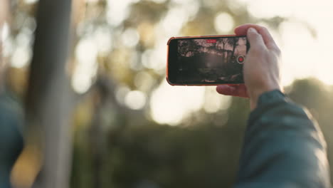 Naturvideo,-Hand-Und-Ein-Telefon-Im-Sonnenuntergang