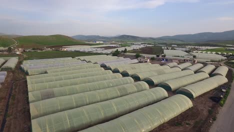 Agricultural-in-greenhouses-and-drip-irrigation