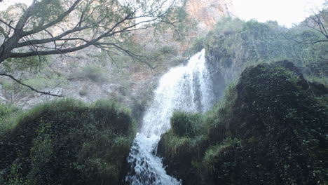 majestic waterfall amidst lush greenery
