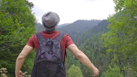 hombre observando el valle en el bosque.
