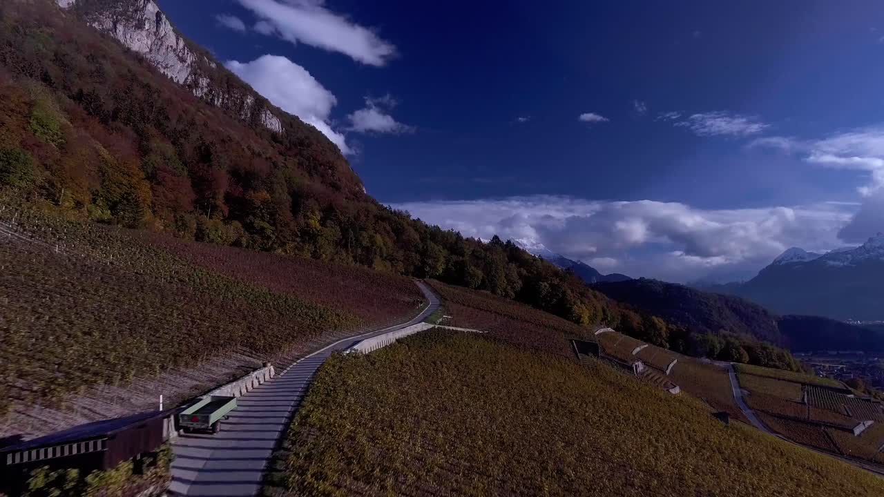 가을의 포도원 위를 비행하다