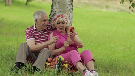 Family-picnic.-Senior-old-grandparents-couple-in-park-using-smartphone-online-browsing,-shopping