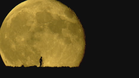 a person standing in front of the moon