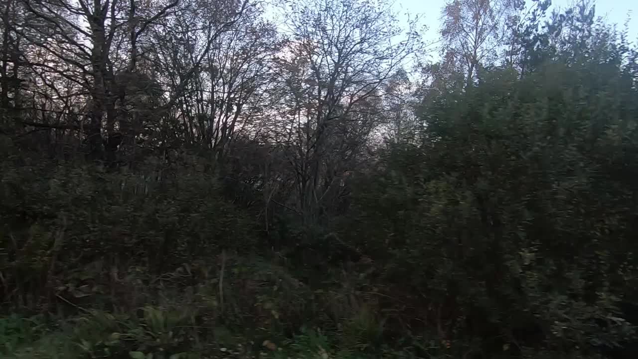 시골을 운전하다