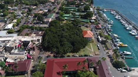 cinematic aerial drone shot of the lahaina harbor and banyan tree prior to the 2023 maui wild fire