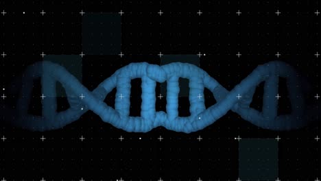 animación de formas sobre la hebra de adn
