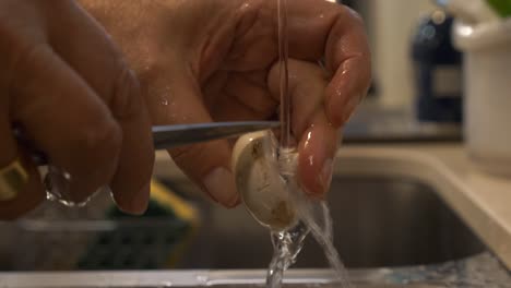 preparing, washing - cleaning mushroom closeup under flowing fresh water in domestic kitchen