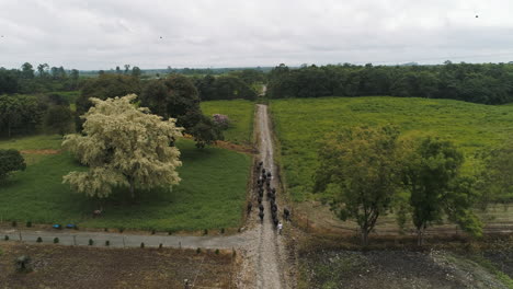 negro camino a los campos verdes en una instalación en la provincia ecuatoriana de santo domingo