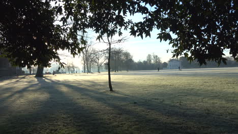 Crisp-winter-morning-in-park-in-London