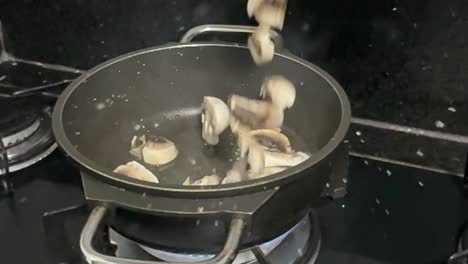 slow motion, tasty mushroom meal ingredients, kitchen cooking appliances