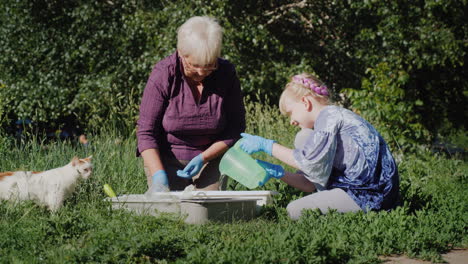 grandmother and granddaughter put flowers together in the yard active senior people concept