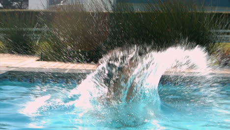 beautiful woman jumping in swimming pool on a sunny day 4k