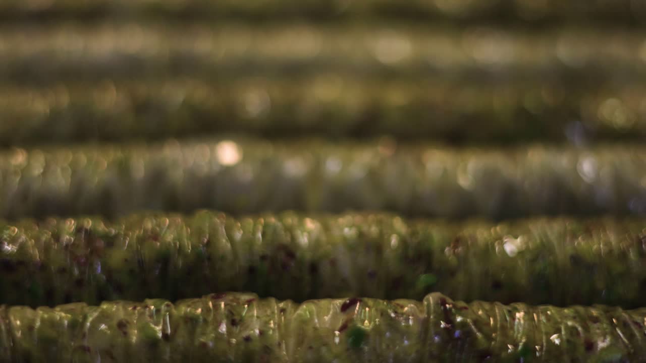 postre tradicional de baklava en rollos colocados en filas en una bandeja para hornear lista para hornear