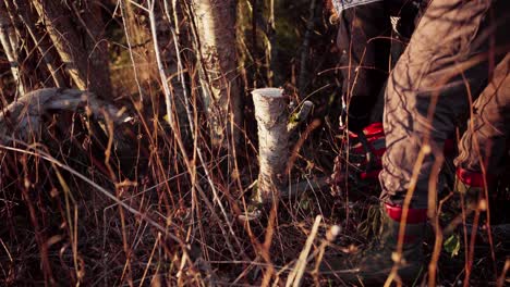 un hombre está empleando una motosierra para cortar el tronco de un árbol - de cerca