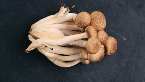 fresh shiitake mushrooms