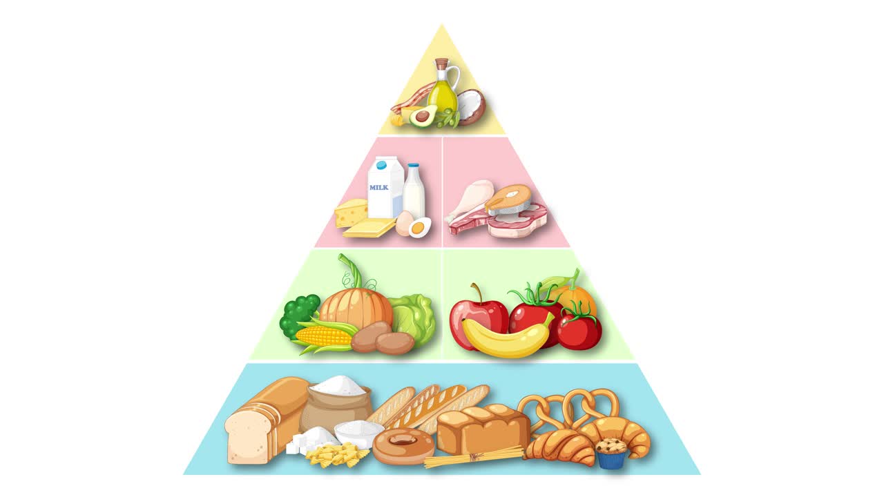 Food group pyramid builds upward in animated sequence, highlighting nutrition categories with bright, clear visuals