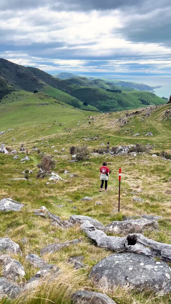 Hiker admiring lush hills in Montgomery Peak Scenic Reserve, New Zealand