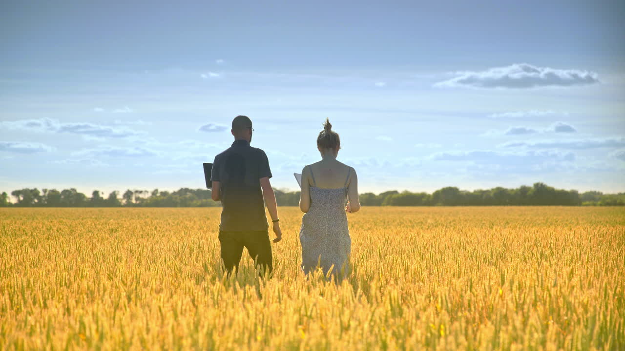 농업 엔지니어 팀. 농업 연구 그룹 밀 수확을 분석