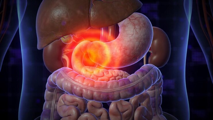 Transparent abdominal view with stomach glowing bright orange with pain among liver and intestines, 3D medical anatomy visualization