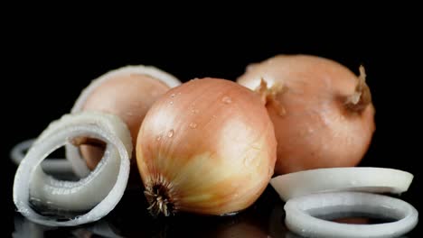 fresh onion lies on the water.