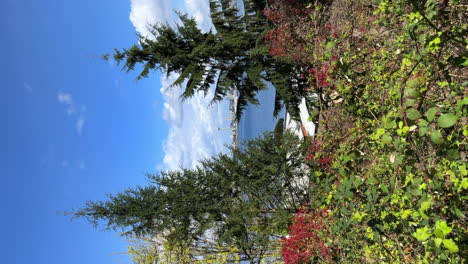 view of seattle skyline through a couple of trees