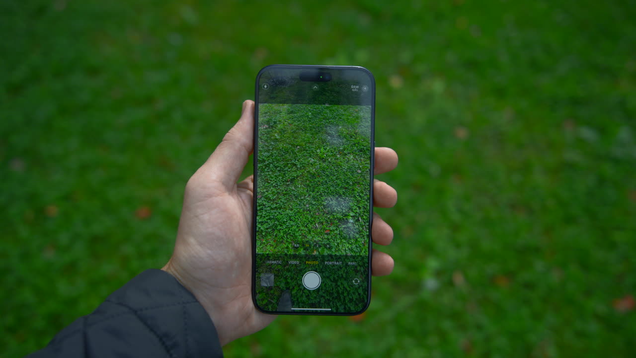 Smartphone photo of grass