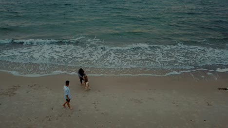 젊은 행복한 커플이 개와 함께 해변을 고 있습니다.