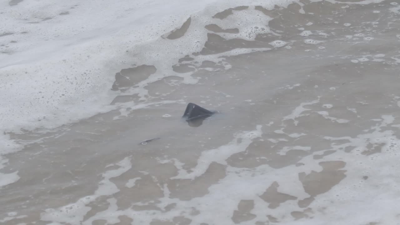 더러운 바다 쓰레기 오염 쓰레기에 떠 있는 검은 플라스틱 병