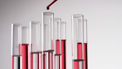 video of glass laboratory test tubes and pipette with red liquid and copy space on white background