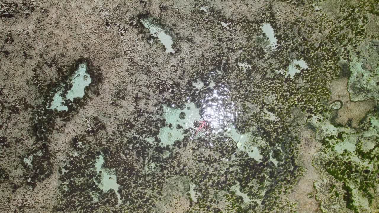 필리핀의 시아르가오 섬에 있는 마푸코 바위 연못에서 수영을 하는 여성을 바라보는 4k 드론 영상.