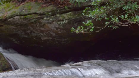 Makroszene-Aus-Einem-Bach-Im-Stone-Mountain-State-Park,-NC