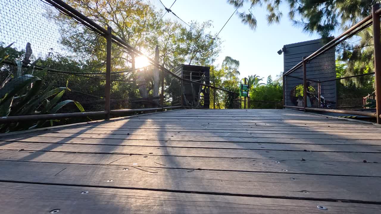 persona que camina por el camino del recinto del zoológico