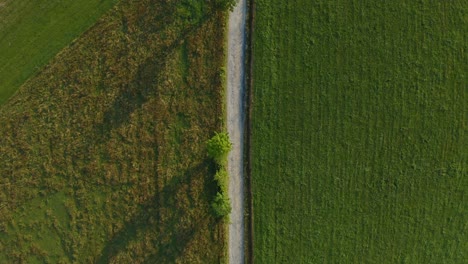 Vista-Superior-De-Un-Camino-De-Tierra-Entre-Campos-En-Las-Montañas-De-Pastos-En-La-Región-De-Podhale,-Polonia