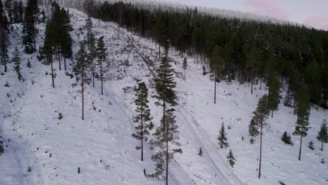 La-Cosechadora-Forestal-Está-Reubicando-Madera-Talada-Durante-El-Invierno,-El-Cargador-De-Troncos-Está-Reubicando-Troncos-De-Pino-Cortados