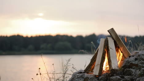 close up of big outdoor bonfire. close up shot of a fire and firewood burning in outdoor