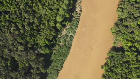 aerial birds eye view of kinabatangan river in sabah, malaysia