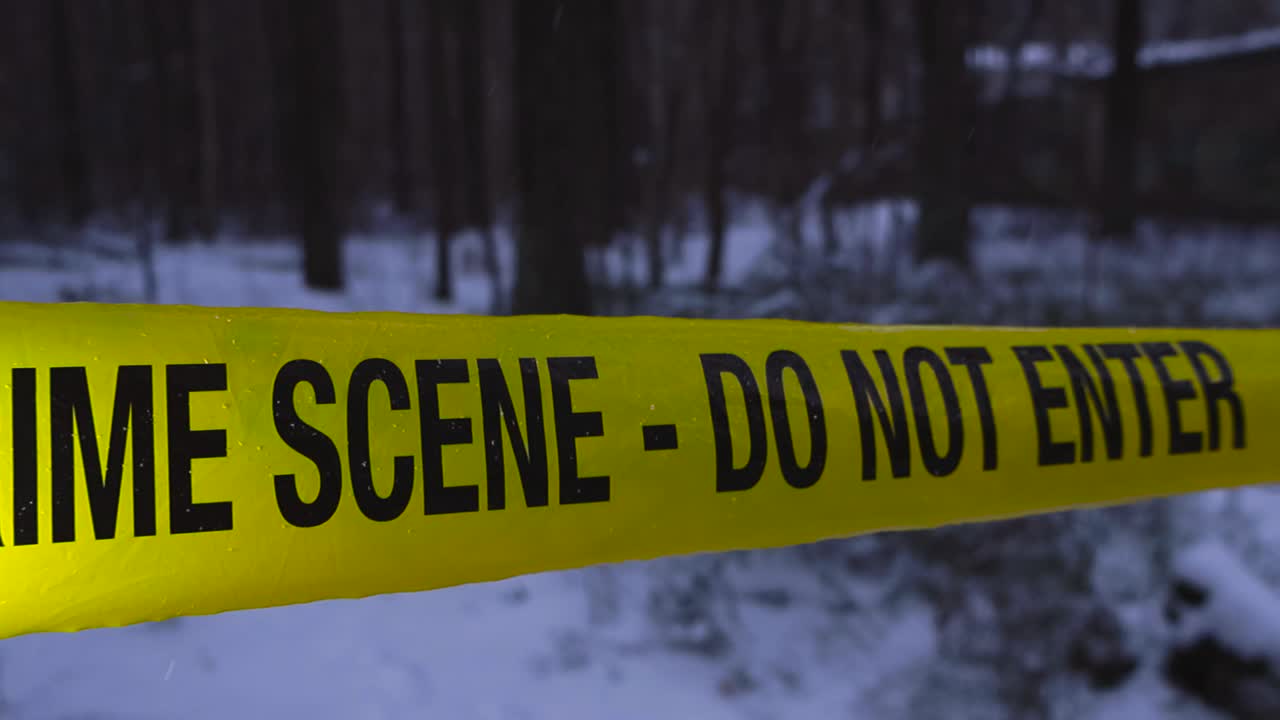 Yellow colored forensic crime scene tape close up in a evening grim and dense winter forest during snowy evening. The tape is well lit by light and white snow and trees are blurry in the background