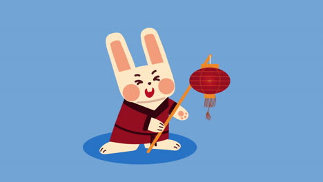 chinese rabbit with lantern animation