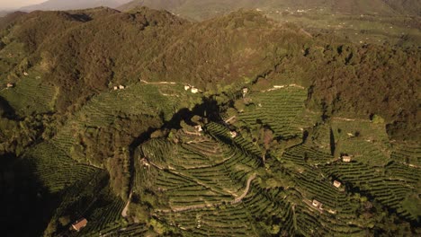 Aerial-landscape-view-of-the-famous-prosecco-hills-with-many-vineyard-rows,-in-the-italian-countryside
