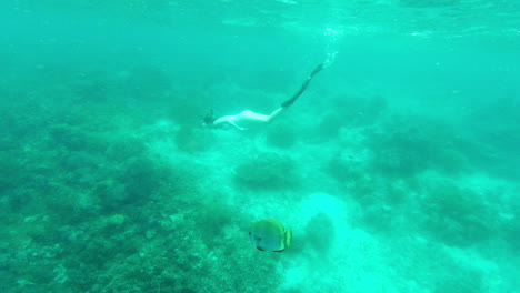 an-attractive-young-woman-snorkelling-alone