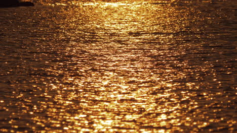 dark water with golden sun path