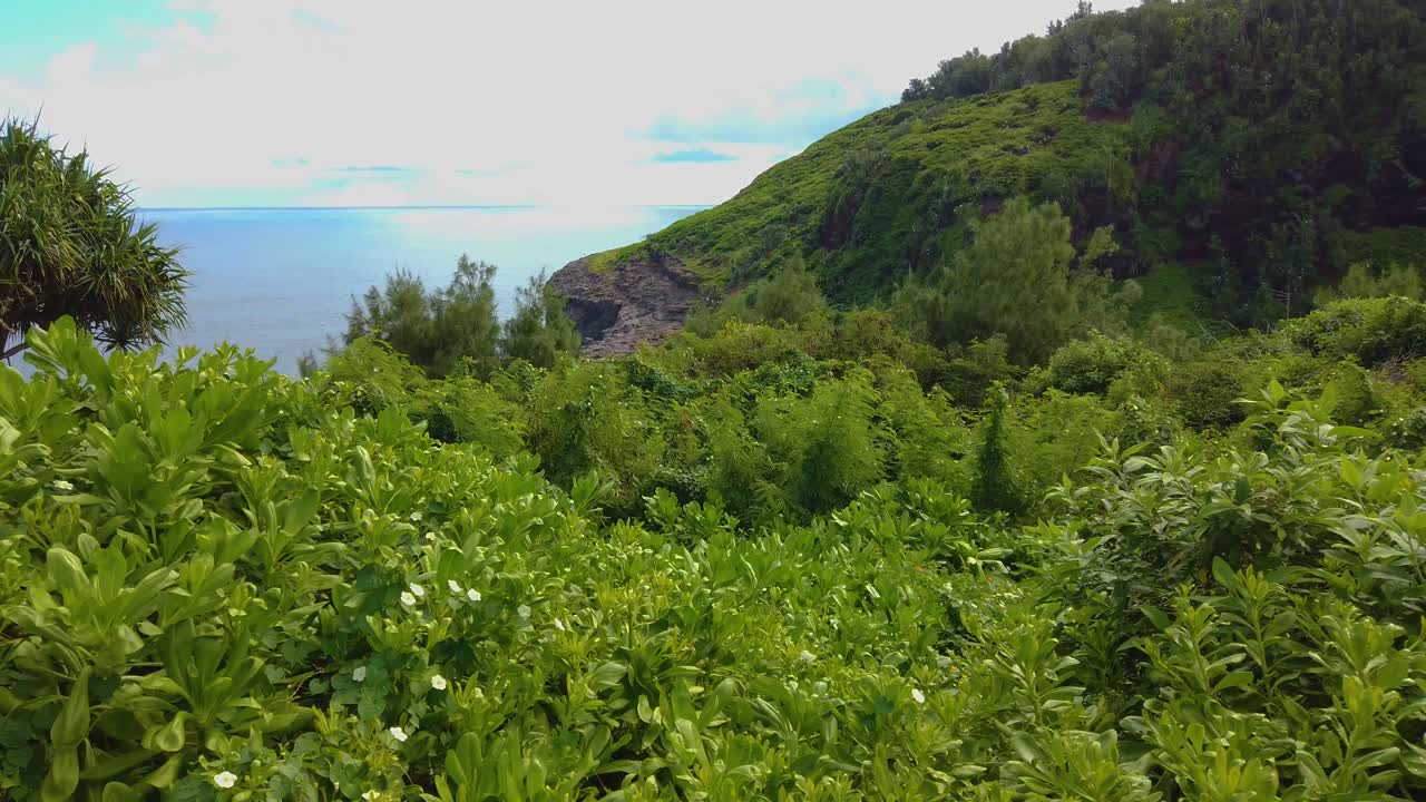 4K Hawaii Kauai gimbal truck left to right of ocean in distance green hillside on right and greenery in foreground with bright cloudy backlit sky