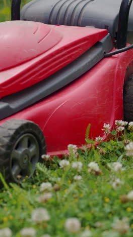 lady riding as she mows her lawn with her red lawn tractor mower and cutting the green grass. she will continue to ride her lawn mower till she's done mowing the grass. vertical video