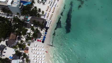 Una-Toma-Aérea-De-La-Playa-Paraíso-Caribeño-Con-Agua-Turquesa-En-La-Playa-Norte-En-Isla-Mujeres,-México