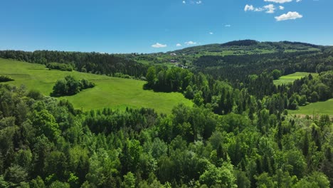 scenic lush green forest on hills of southern poland, aerial view